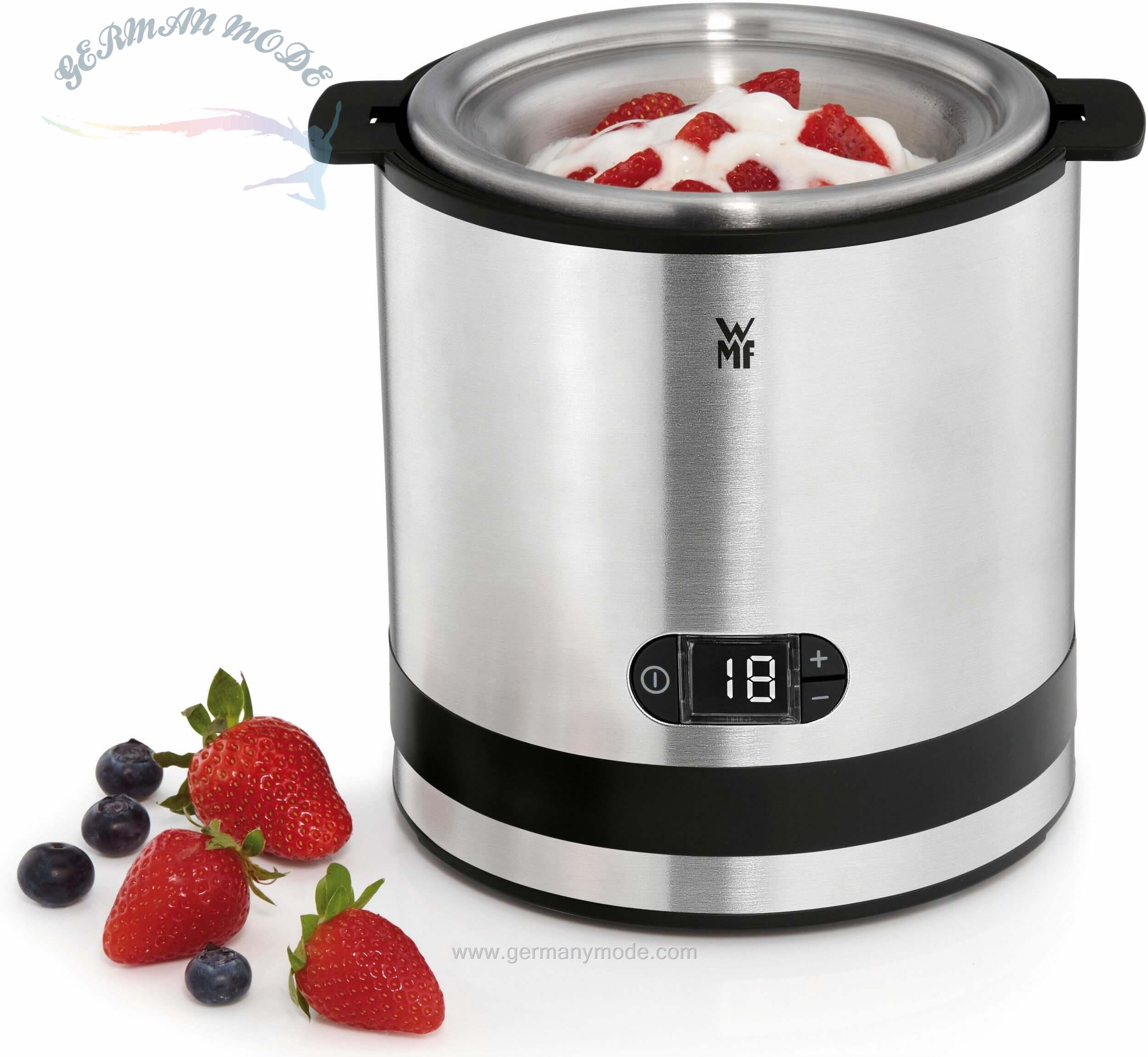 بستنی ساز وی ام اف آلمان WMF Eismaschine