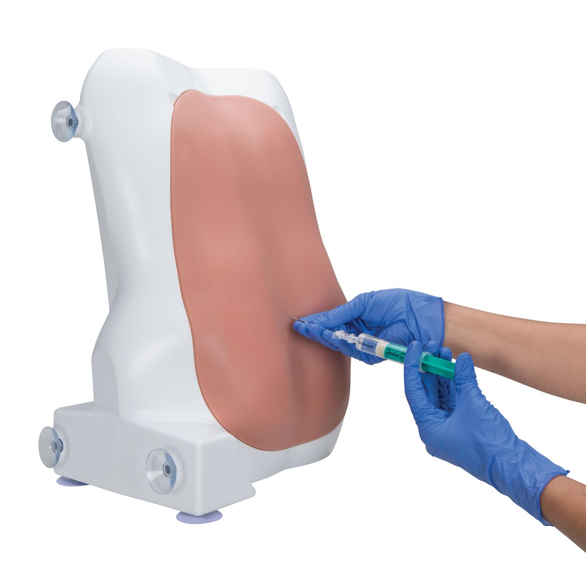 مدل تشریحی شبیه‌ سازی تزریق اپیدورال و نخاعی 3B Scientific
