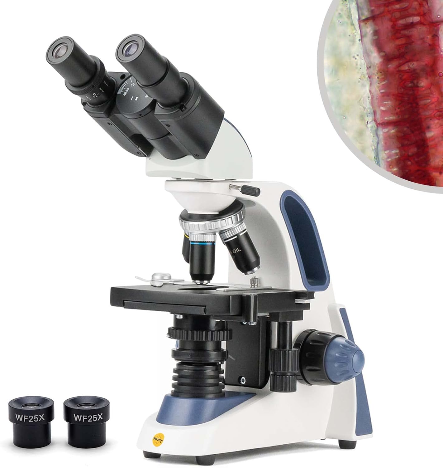 میکروسکوپ Swift SW380B با بزرگنمایی 40X-2000X Siedentopf Head Binocular Lab Microscope برای تحقیق با مرحله مکانیکی چشمی با زاویه باز 10X و 25X