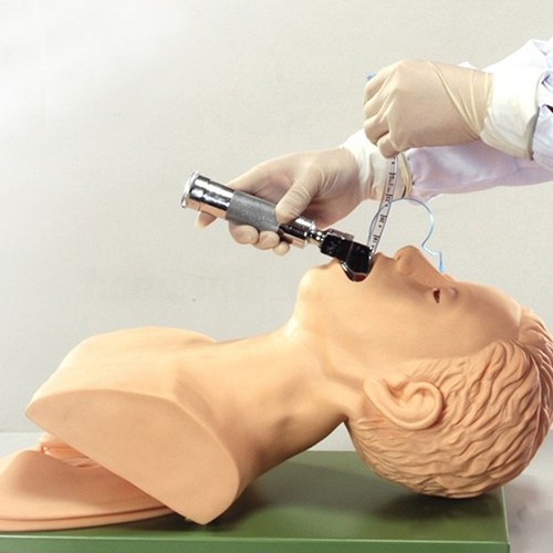 خرید از ایبی - 220-V-Intubationspuppe Studienlehrmodell Airway Trainer Management PVC 2018