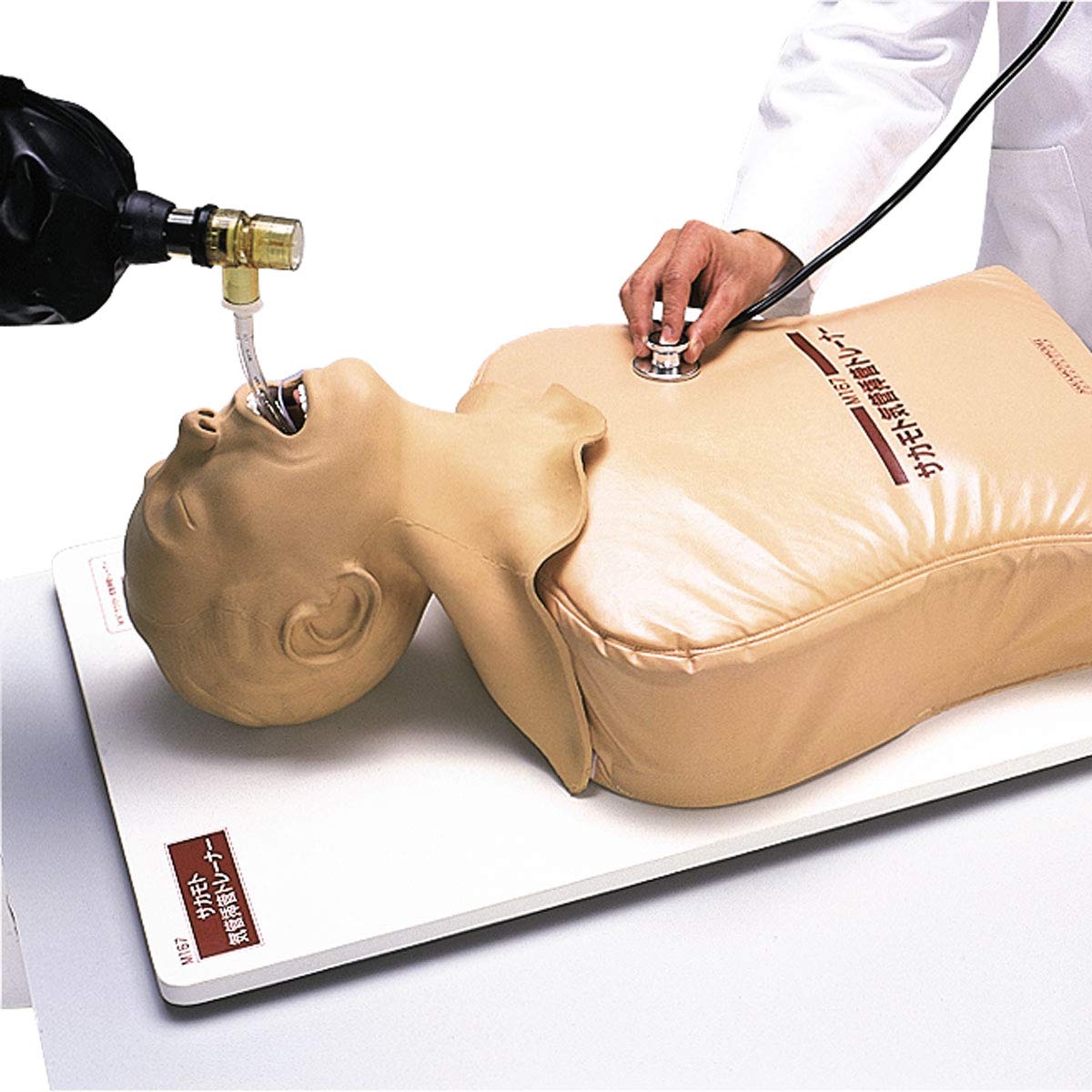 مدل تشریحی لوله‌گذاری تراشه‌ای حنجره، لوله مری (Endotracheal Intubation) Sakamoto W30508