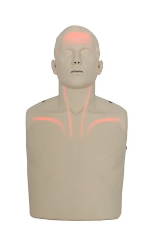 خرید از ایبی - Brayden Manikin LED Blood Flow CPR Resuscitation Manikin CPR Resuscitation Manikin AED