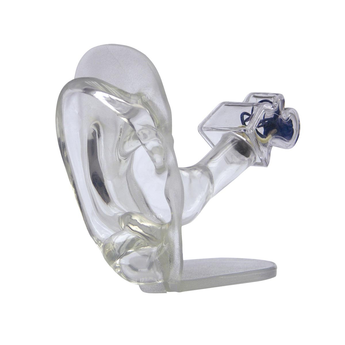 مدل گوش GPI Anatomicals W33383 شفاف