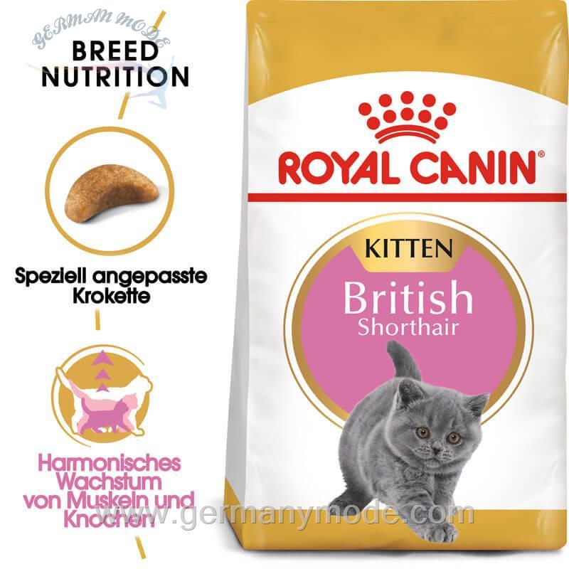 غذا خشک گربه رویال کنین Royal Canin British Shorthair Kitten