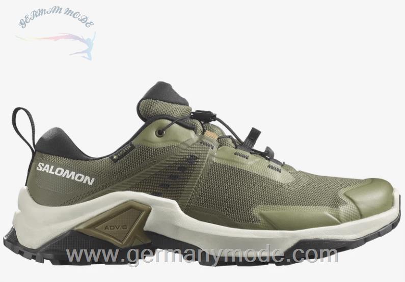 کتانی پیاده روی مردانه سالامون فرانسه SALOMON X RAISE 2 GORE-TEX Hiking-Halbschuhe Herren Deep Lichen Green / Vanilla Ice / Kelp